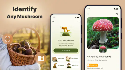 Mushroomizer screenshot