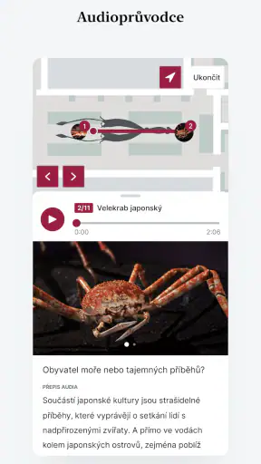 Národní muzeum v kapse screenshot