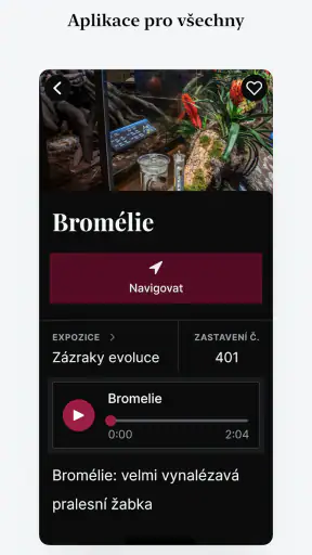 Národní muzeum v kapse screenshot