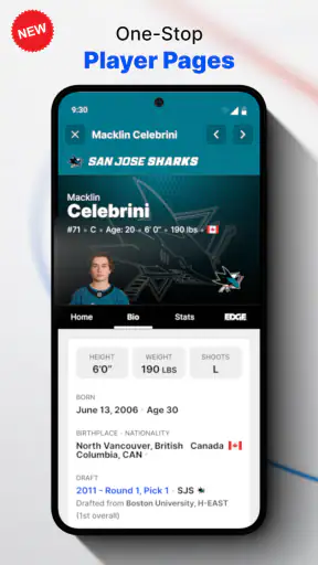 NHL screenshot