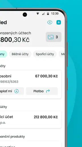Partners screenshot