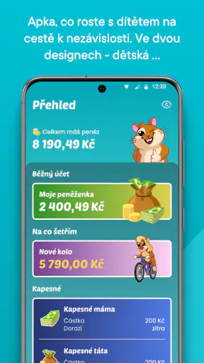 Partners screenshot