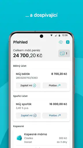 Partners screenshot