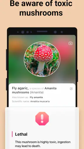 Picture Mushroom - Mushroom ID screenshot