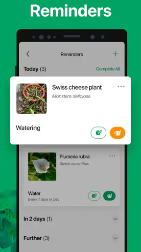 PictureThis - Plant Identifier screenshot