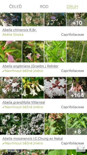 PlantNet určování rostlin screenshot