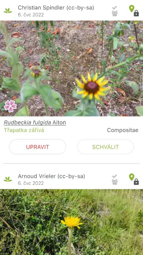 PlantNet určování rostlin screenshot