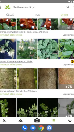 PlantNet určování rostlin screenshot
