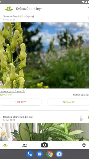 PlantNet určování rostlin screenshot