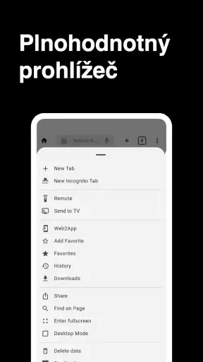 Prohlížeč screenshot
