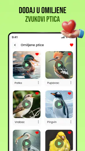 Ptačí zvuky screenshot