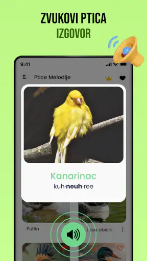 Ptačí zvuky screenshot