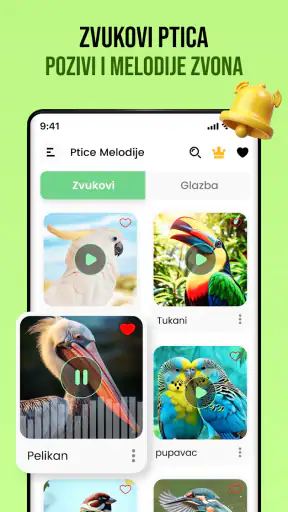 Ptačí zvuky screenshot