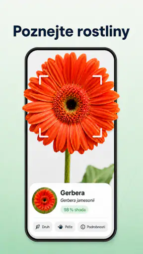 Rozpoznávání rostlin a hub screenshot