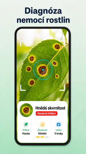Rozpoznávání rostlin a hub screenshot