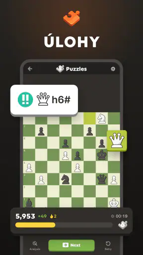Šachy · Hraj a uč se Online screenshot
