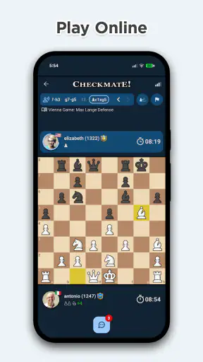 Šachy online a offline screenshot