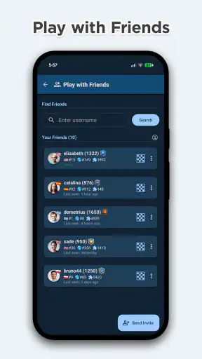 Šachy online a offline screenshot