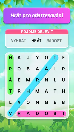 Slovní Hledací Hádanka screenshot