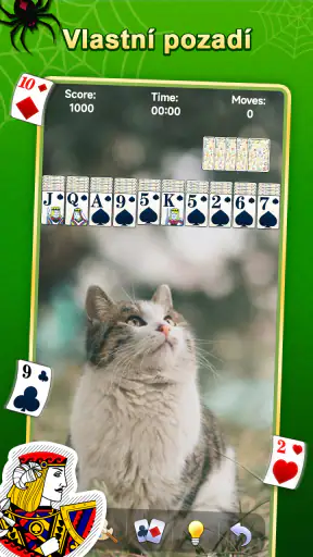 Spider Solitaire screenshot