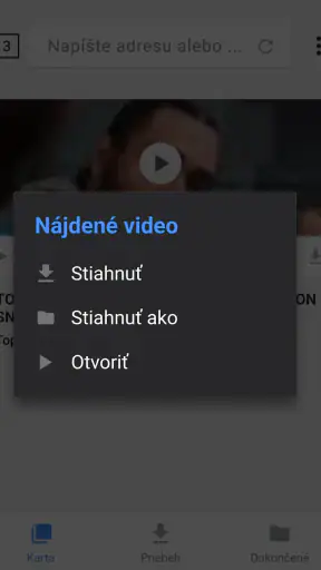 Sťahovač videí screenshot