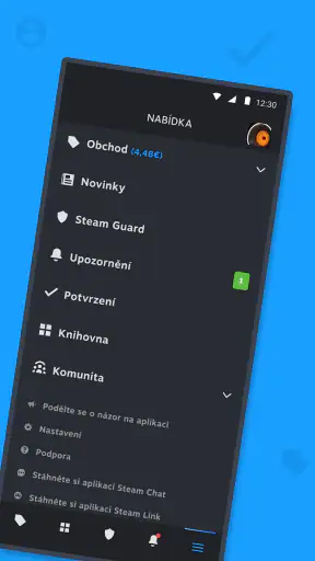 Steam screenshot
