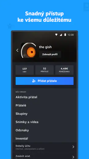 Steam screenshot