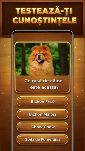 Strom Vědění: Trivia Blocks screenshot