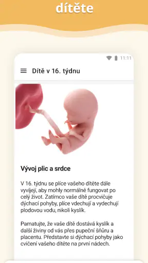 Tehotenstvi screenshot