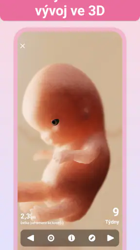 Těhotenství + | sledovací apka screenshot