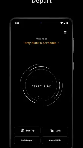 Tesla Robotaxi screenshot
