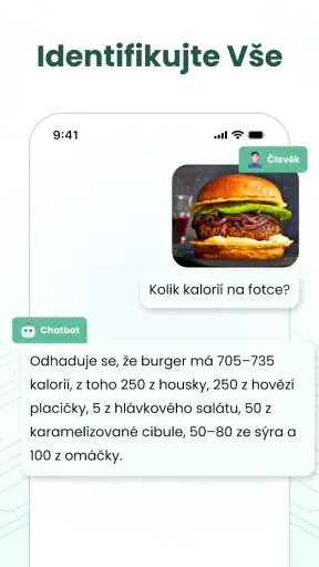 Umělá Inteligence česky screenshot