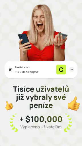 Vydělat Peníze Online z Domova screenshot