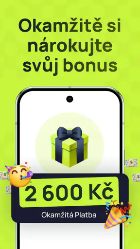 Vydělat Peníze Online z Domova screenshot
