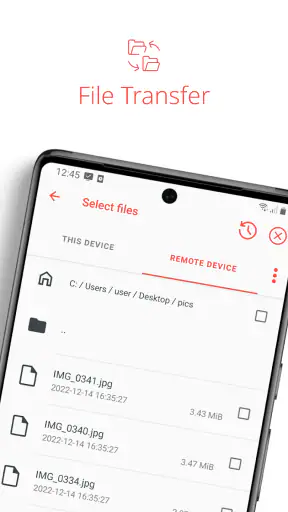 Vzdálené připojení AnyDesk screenshot