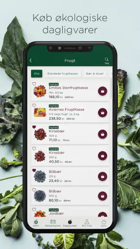Aarstiderne – Økologisk mad screenshot