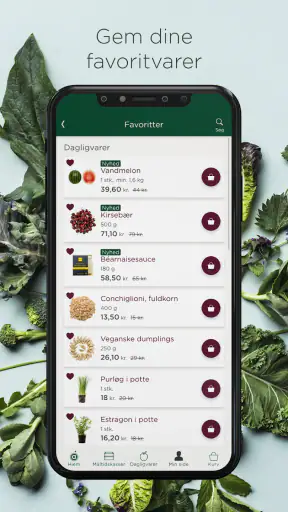 Aarstiderne – Økologisk mad screenshot