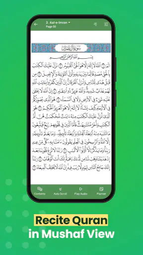 Al Quran (Tafsir & by Word) screenshot