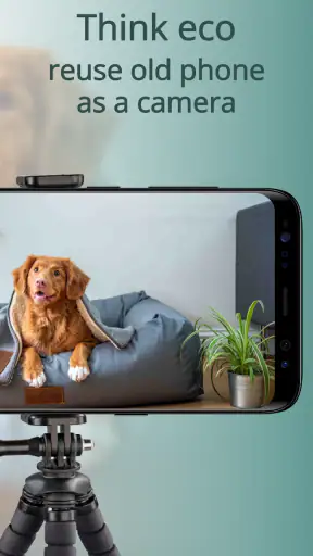 AnyPet Monitor - Cat & Dog Cam screenshot