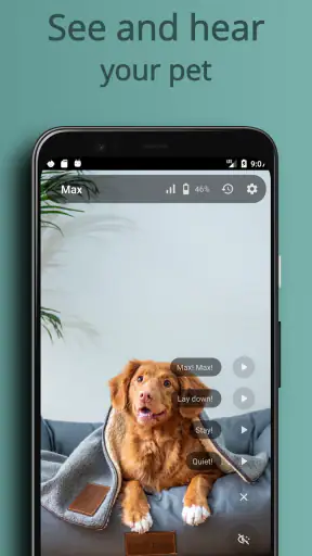 AnyPet Monitor - Cat & Dog Cam screenshot