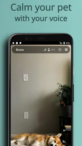 AnyPet Monitor - Cat & Dog Cam screenshot