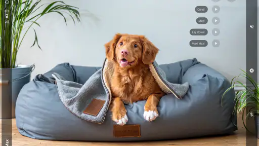 AnyPet Monitor - Cat & Dog Cam screenshot