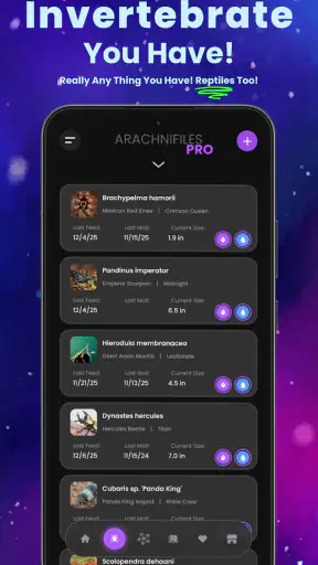 Arachnifiles: Pet Tracker screenshot