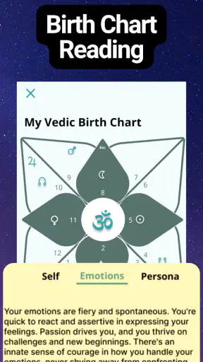AstroVeda: Ask Astrologer Guru screenshot