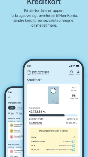 Bank Norwegian screenshot