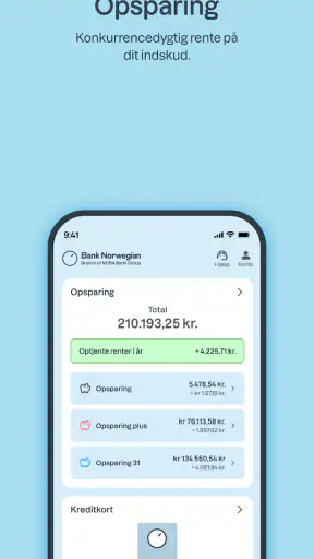 Bank Norwegian screenshot