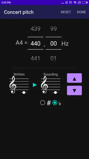 CarlTune - Kromatisk Tuner screenshot
