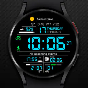 Chester inform LCD screenshot