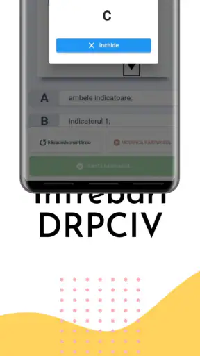 Chestionare Auto Examen DRPCIV screenshot