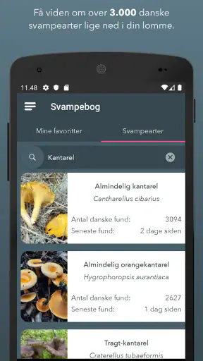 Danmarks svampeatlas screenshot
